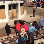 Camino újratöltve
