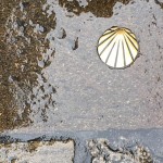 Camino újratöltve